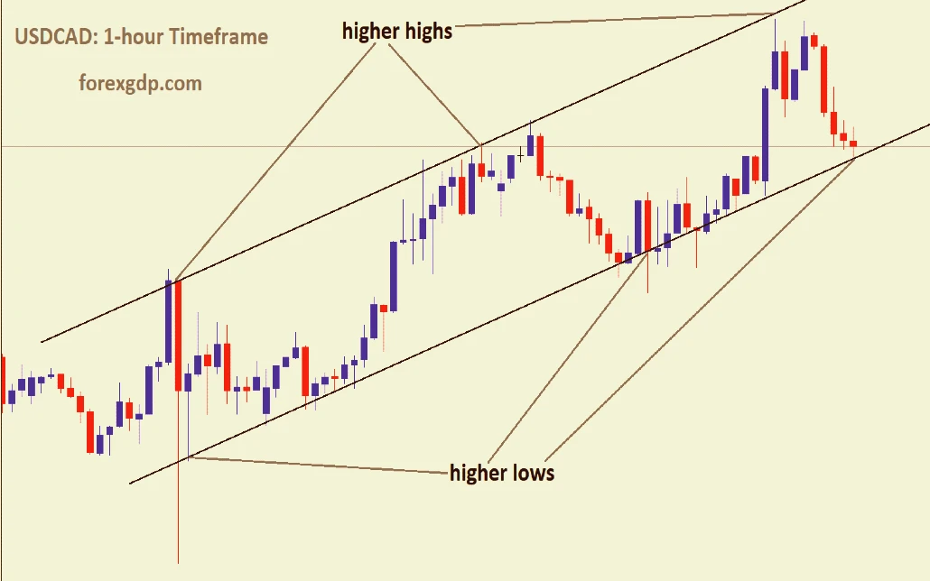 Factors Influencing the USD CAD