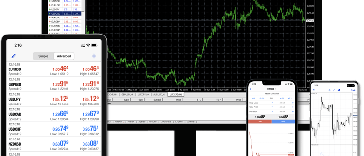 MetaTrader 4 (MT4)