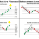 Fibonacci Retracement Levels